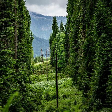 Gluexplatzl Appartements Am Wald Sankt Martin am Tennengebirge Eksteriør bilde